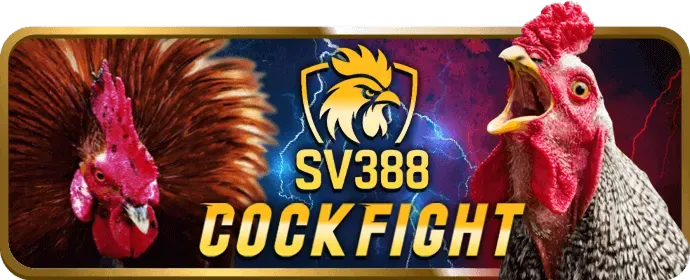Cookie là gì và cách hoạt động